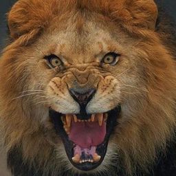 steem.lion avatar