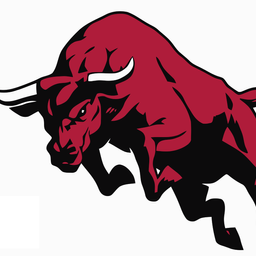Bitcoin Crypto BULLS