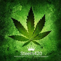 Steem420 avatar