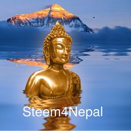 steem4nepal avatar