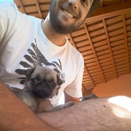 Steemblogger avatar