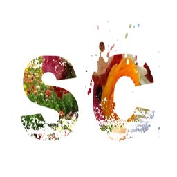 Steem Crazy1 avatar