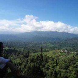 STEEM-NATURE avatar