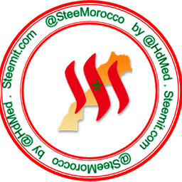 SteeMorocco avatar