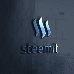 steenit avatar