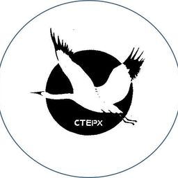 STERH avatar