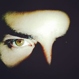 stevenbravo avatar