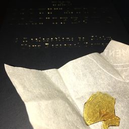 stoned2thebone avatar