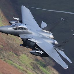 strikeeagle avatar