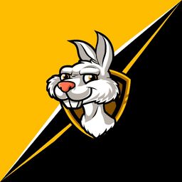 suhlaing avatar