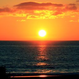 SunSea avatar