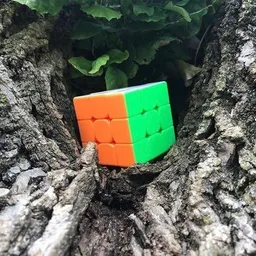 Buckles avatar
