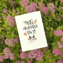여행♡사진♡북스팀♡감사 avatar