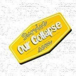 Survive Our Collapse avatar