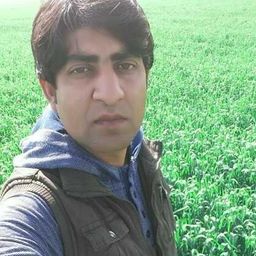 Dr. Saleem Malik avatar