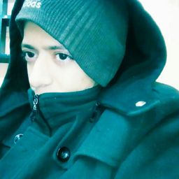 SweeVerDev avatar