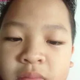 syah avatar
