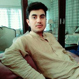 Syed M Ghaznavi avatar