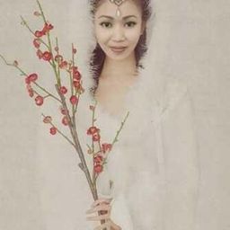 syen12 avatar
