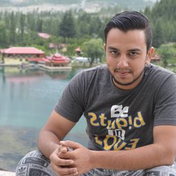 Tabraiz Shams avatar