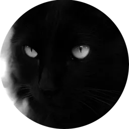 Taitux avatar