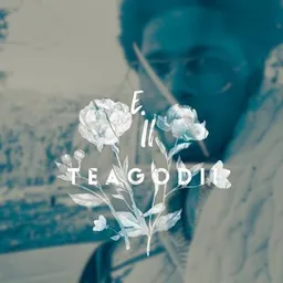 TEAGODII avatar