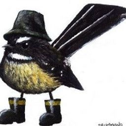Team New Zealand avatar