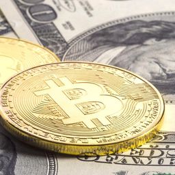 Bitcoin Crypto News avatar
