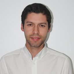 Telmo Lourenço avatar