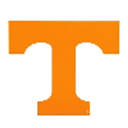 Tennessee Vols avatar