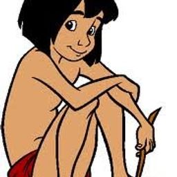 Teryani avatar