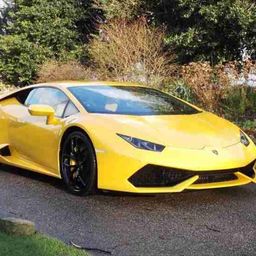 th12-huracan avatar