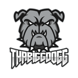 ThaBiGGDoGG avatar