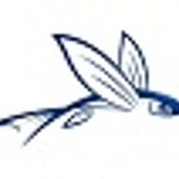 the-exocet avatar