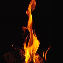 the-oven avatar