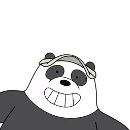 the.rocket.panda avatar