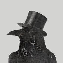 the01crow avatar