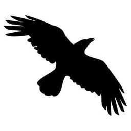 TheBlackCrow avatar