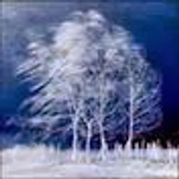 thebluewind3 avatar