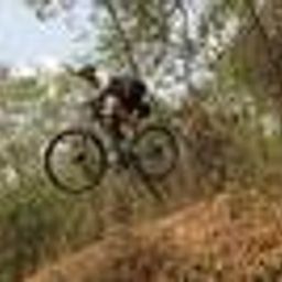 theexplorer avatar