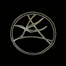 The Key Of H avatar