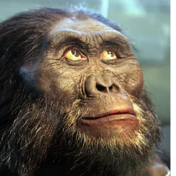 The Missing Link avatar
