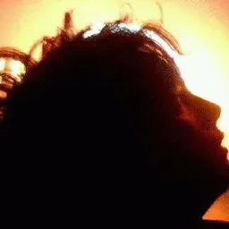.- The Pot -. avatar