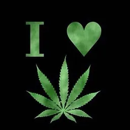 THEWEALTHUNIT_MEDIA avatar