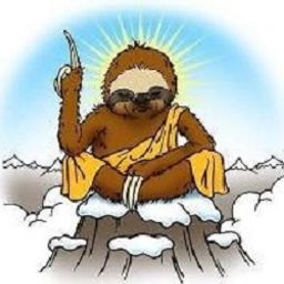 The Wise Sloth avatar