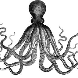 thisbrent