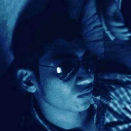 tigerrexx avatar
