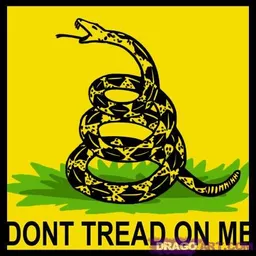 Southern Va Patriot avatar