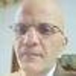 timultid avatar