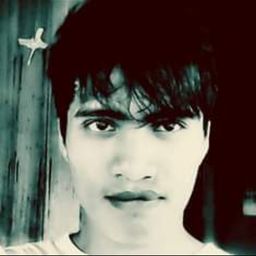 Ting Jepe avatar